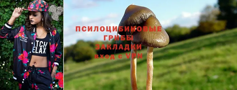 Галлюциногенные грибы MAGIC MUSHROOMS  Асино 